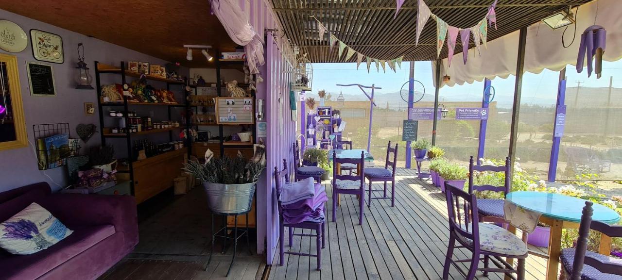Lavanda Del Valle Vicuna Bagian luar foto